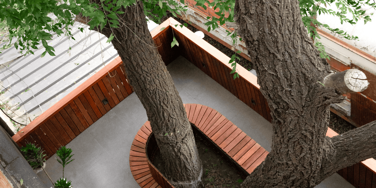 The Patio